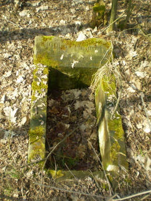 Cmentarz ewangelicki w Anielinie.
