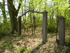 Cmentarz ewangelicki w Babicach.