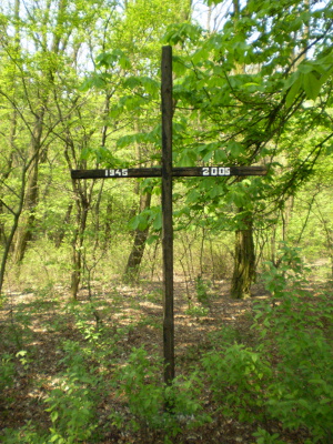 Cmentarz ewangelicki w Babiczkach.
