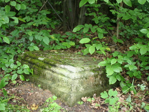 Cmentarz ewangelicki w Borowej.