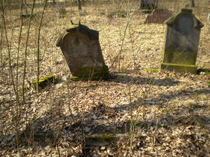 Cmentarz ewangelicki w Chorzeszowie.