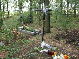 Cmentarz ewangelicki w Ciosnach.