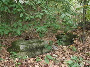 Cmentarz ewangelicki w Ciosnach.