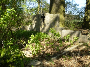 Cmentarz ewangelicki w Dąbrówce Górnej.