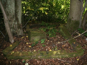 Cmentarz ewangelicki w Danielowie.