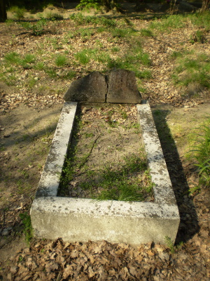 Cmentarz ewangelicki we Florentynowie.