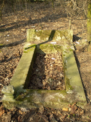 Cmentarz ewangelicki w Gałkówku Kolonii.