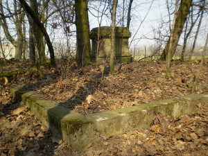 Cmentarz ewangelicki w Gałkówku Kolonii.