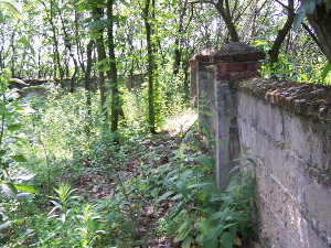 Cmentarz ewangelicki w Głąbiu.