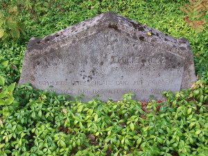 Cmentarz ewangelicki w Holendrach Paprockich.