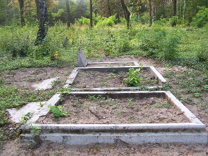 Cmentarz ewangelicki w Holendrach Paprockich.