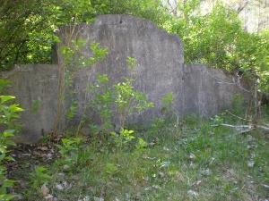 Cmentarz ewangelicki w Hucie Bardzyńskiej.