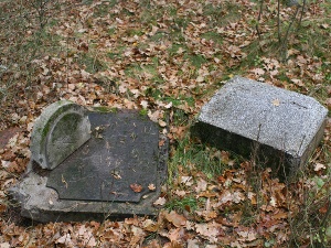 Cmentarz ewangelicki w Janowie koło Grabowa.