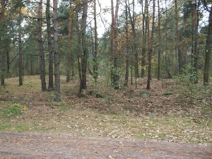 Cmentarz ewangelicki w Janowie koło Grabowa.
