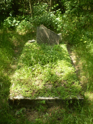 Cmentarz ewangelicki w Jasieniu.