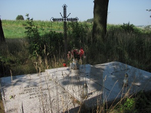 Cmentarz ewangelicki w Józefowie.