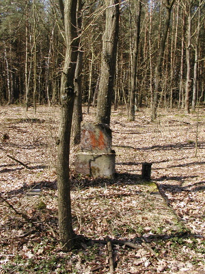 Cmentarz ewangelicki w Kałdunach.