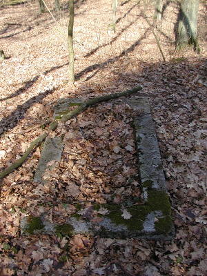 Cmentarz ewangelicki w Kałdunach.