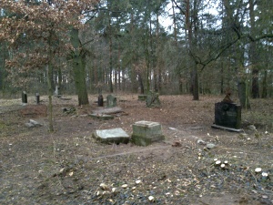 Cmentarz ewangelicki w Karolewie.