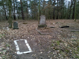 Cmentarz ewangelicki w Karolewie.