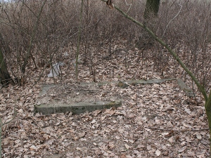 Cmentarz ewangelicki w Katarzynowie.