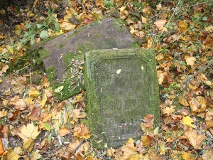 Cmentarz ewangelicki w Kobylach.