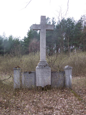 Cmentarz ewangelicki w Kolonii Pożdżenice.