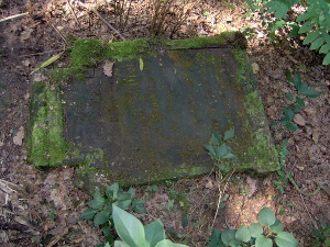 Cmentarz ewangelicki w Kontrewersie.