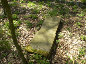 Cmentarz ewangelicki w Starych Krasnodębach.