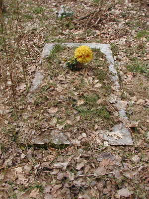 Cmentarz ewangelicki w Kurnosie-Borkach.