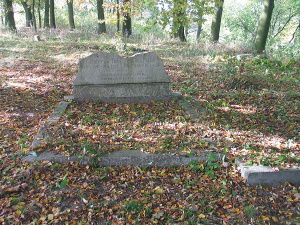 Cmentarz ewangelicki w Łaskowicach.