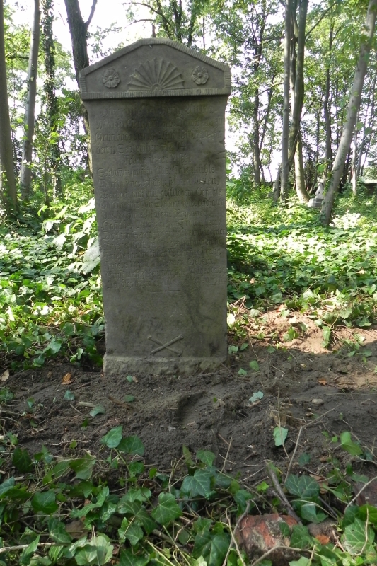 Cmentarz w Łaznowskiej Woli (2017.09.09)