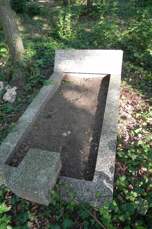 Cmentarz w Łaznowskiej Woli (2017.09.09)