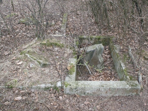 Cmentarz ewangelicki w Leosinie.