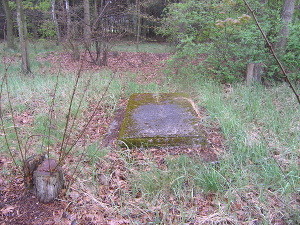 Cmentarz ewangelicki w Lipiankach.