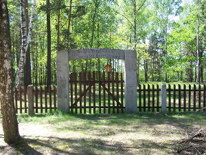 Cmentarz ewangelicki w Molendzie.