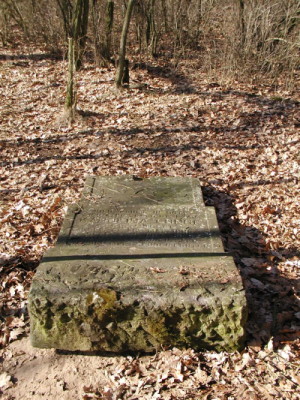 Cmentarz ewangelicki w Myszakach.