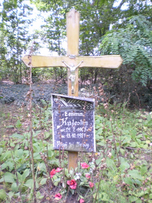 Cmentarz ewangelicki w Nowym Stanisławowie.