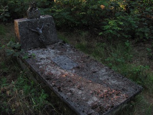 Cmentarz ewangelicki w Ostrówku.