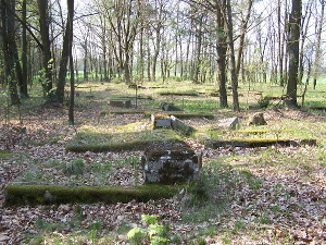 Cmentarz ewangelicki w Pawłowej.