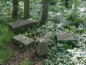 Cmentarz ewangelicki w Przyłęku Małym.