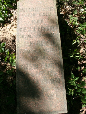 Cmentarz ewangelicki w Przyłęku Małym.