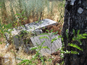 Cmentarz ewangelicki w Rąbieniu.