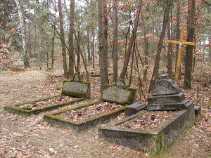 Cmentarz ewangelicki w Rogowcu.