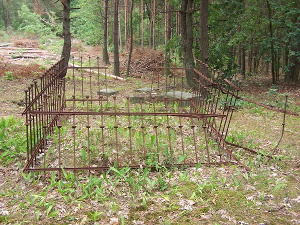 Cmentarz ewangelicki w Rokitnicy.