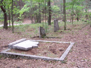 Cmentarz ewangelicki w Rokitnicy.