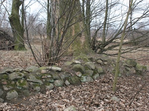 Cmentarz ewangelicki w Słotwinach.