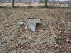 Cmentarz ewangelicki w Słotwinach.