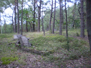 Cmentarz ewangelicki w Starym Annopolu.