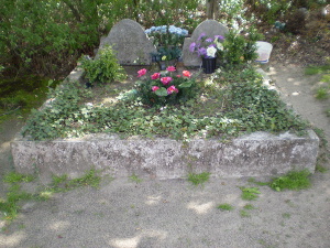 Cmentarz ewangelicki w Swędowie.